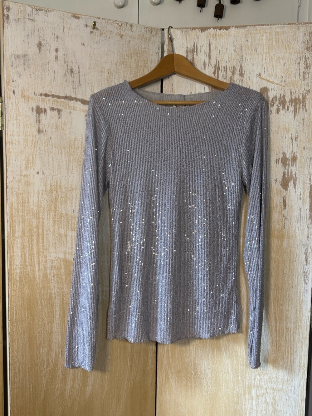 Free People Silver Sequin Ribbed Long Sleeve Top